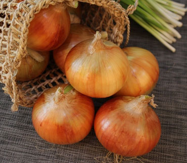 Dehydrated Pink Onion